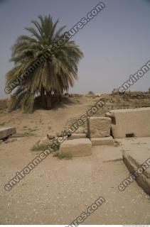 Photo Texture of Karnak Temple 0070